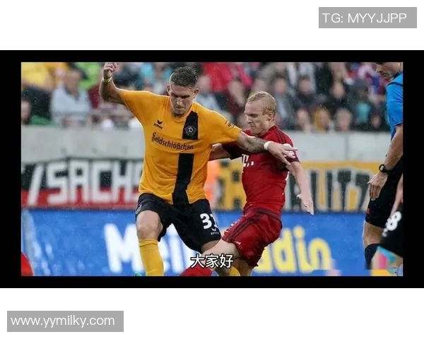 解放者杯激战帕尔梅拉斯对决桑托斯争夺荣耀与胜利